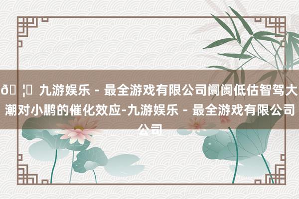 🦄九游娱乐 - 最全游戏有限公司阛阓低估智驾大潮对小鹏的催化