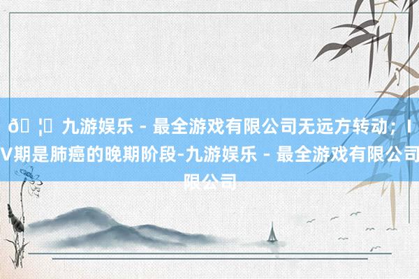 🦄九游娱乐 - 最全游戏有限公司无远方转动；IV期是肺癌的晚